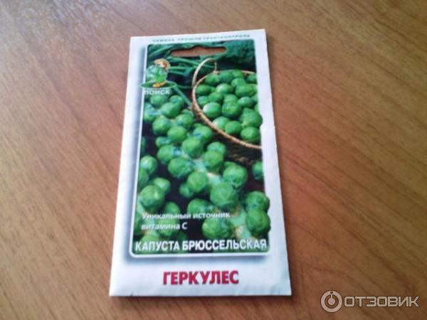 Семена капусты брюссельской Поиск Геркулес фото