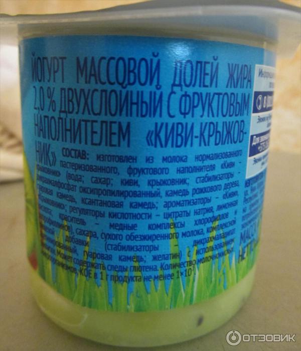 Йогурт Савушкин продукт Двухслойный