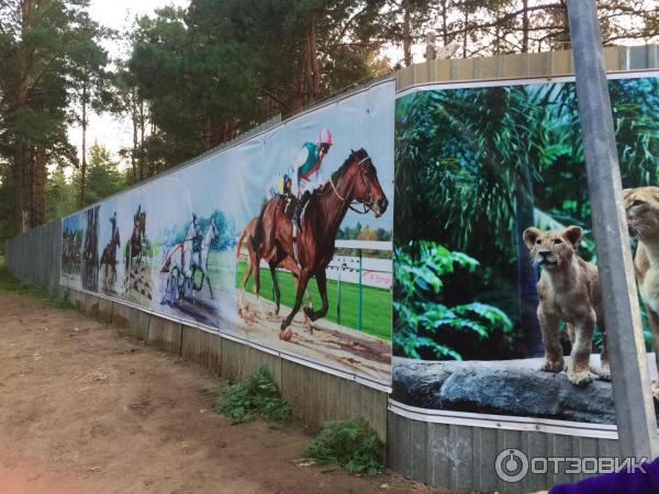 Детско-юношеская конно-спортивная школа Тулпар им. Р. С. Хамадеева (Россия, Набережные Челны) фото