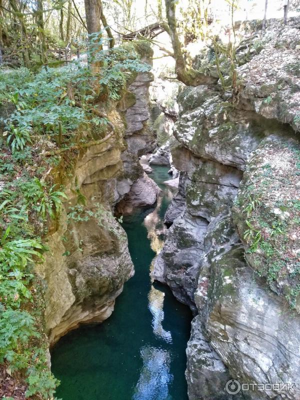 Экскурсия в Мартвильский каньон (Грузия, Самегрело) фото