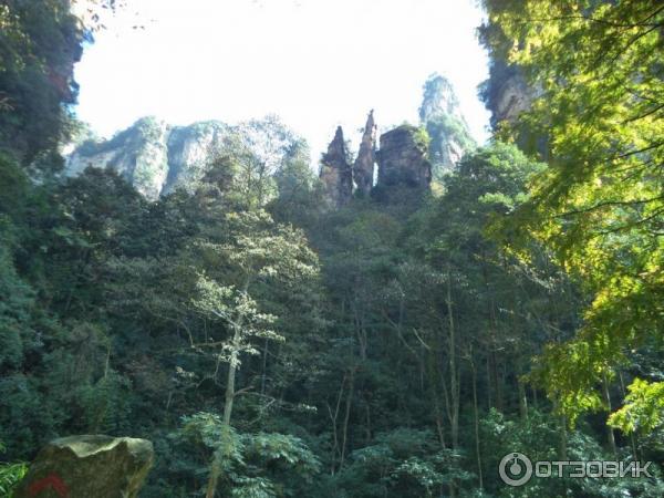 Национальный парк Чжанцзяцзе (Китай, Хунань) фото