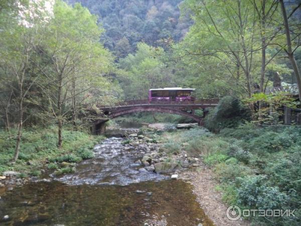 Национальный парк Чжанцзяцзе (Китай, Хунань) фото