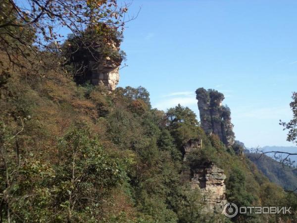 Национальный парк Чжанцзяцзе (Китай, Хунань) фото