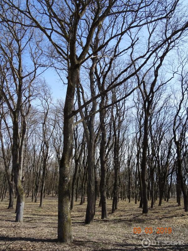 Городской парк Победы в Ессентуках