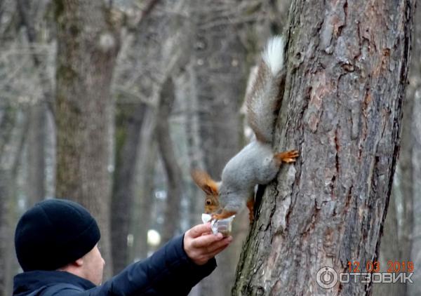 Городской парк Победы в городе Ессентуки