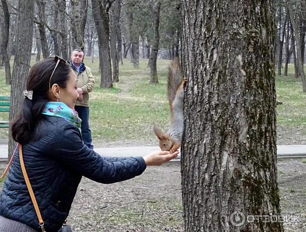 Городской парк Победы в городе Ессентуки