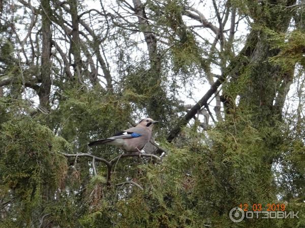 Городской парк Победы в городе Ессентуки