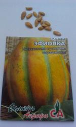 Дыня Эфиопка фото