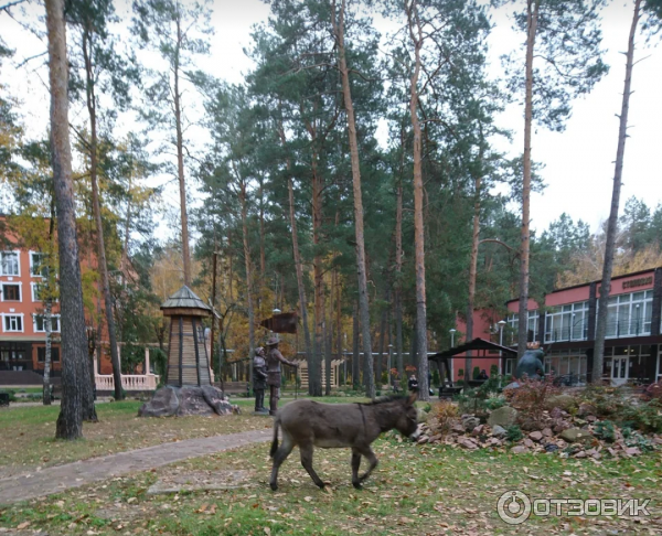 Санаторий Затишье (Россия, Клинцы) фото