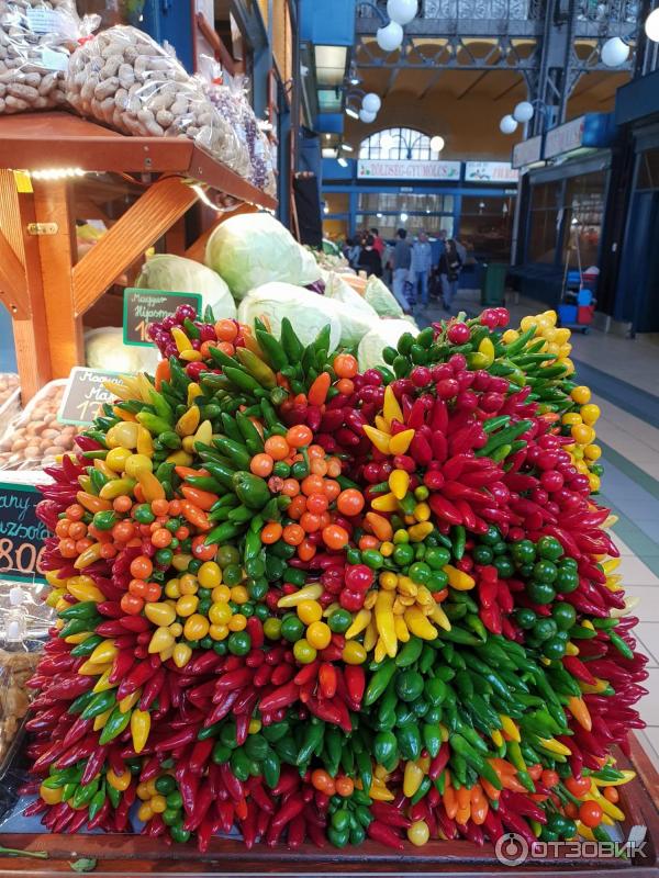 Отдых в Будапеште (Венгрия) фото