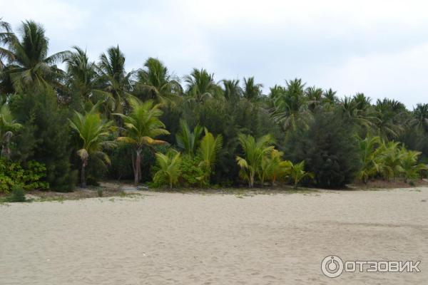 Отель Palm Beach Resort & Spa 5* (Китай, Санья) фото