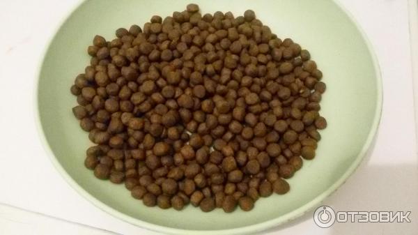 Корм для кошек Grandorf 4 Meat & Brown Rice Sterilized для кастрированных и пожилых животных фото