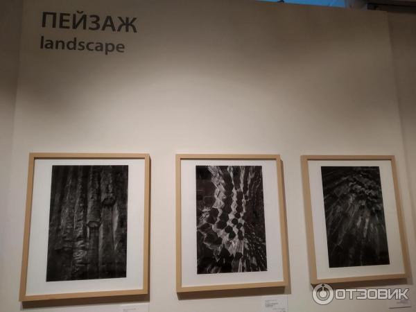 Мраморный Дворец - филиал Русского Музея (Россия, Санкт-Петербург) фото