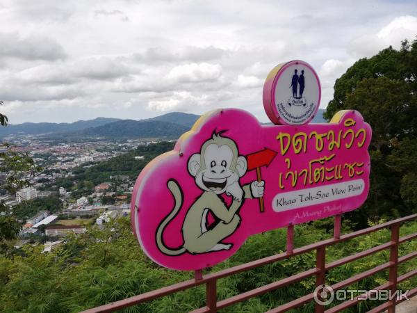 Гора обезьян Monkey Hill (Таиланд, Пхукет) фото