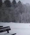 Солнцев Алексей
