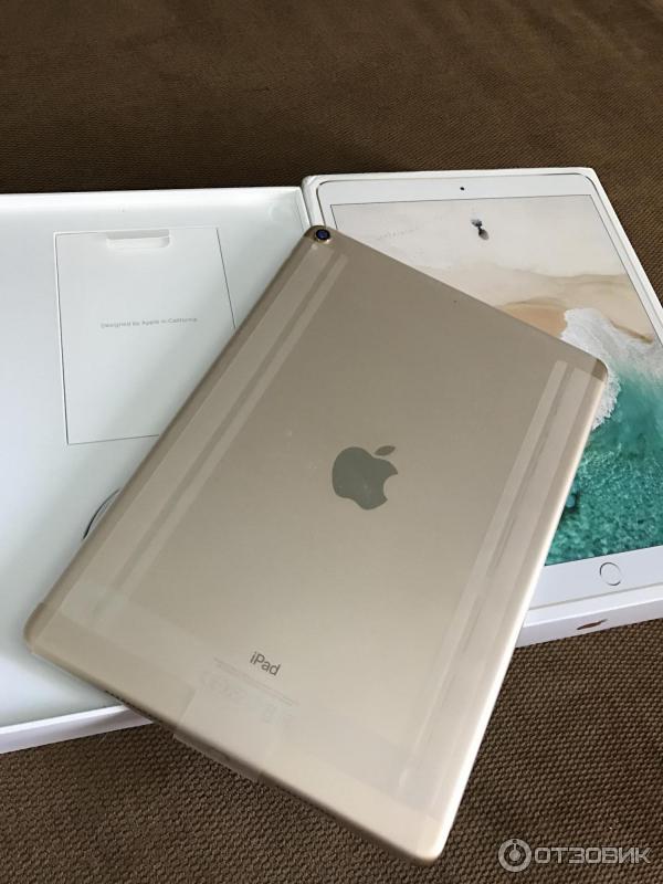 Ipad 10 2025 Купить В Спб