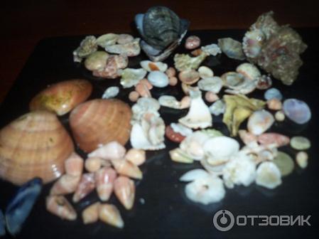 Городской пляж в Дидиме (Турция, Айдын) фото