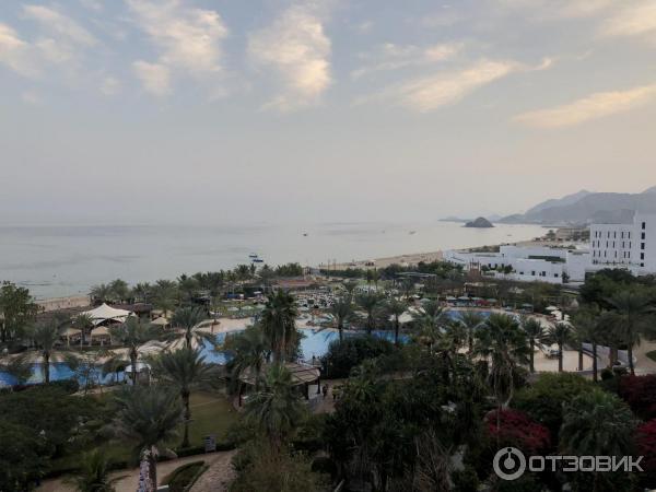 Отель Le Meridien Al Aqah Beach Resort 5* (ОАЭ, Фуджейра) фото