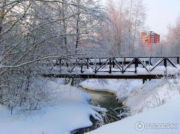 Город Черноголовка (Россия, Московская область) фото