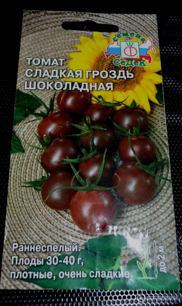 Томат Шоколадная Сливка Купить Семена