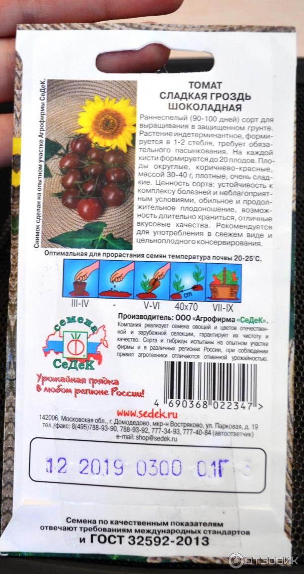 Томат Шоколадная Сливка Купить Семена