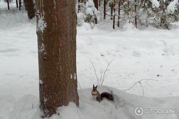 Спортивно-туристический комплекс Порошино (Россия, Кировская область) фото