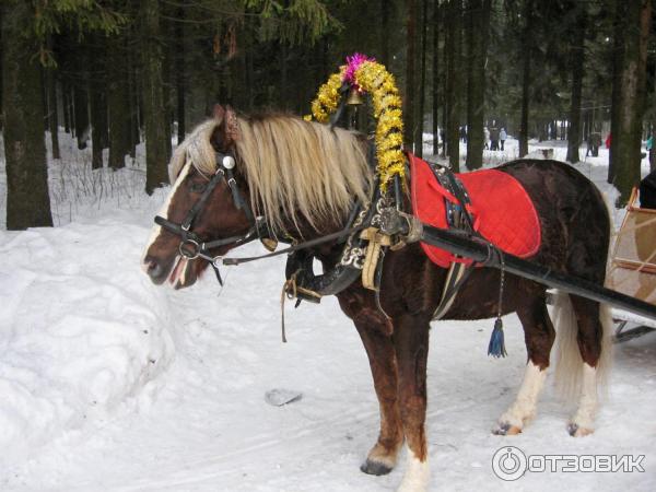 Спортивно-туристический комплекс Порошино (Россия, Кировская область) фото