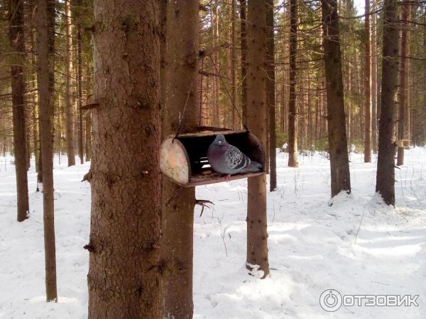 Спортивно-туристический комплекс Порошино (Россия, Кировская область) фото