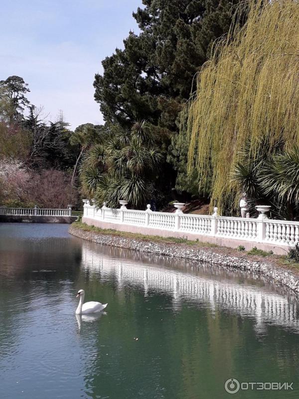 Гостиница Black Sea (Россия, Сочи) фото