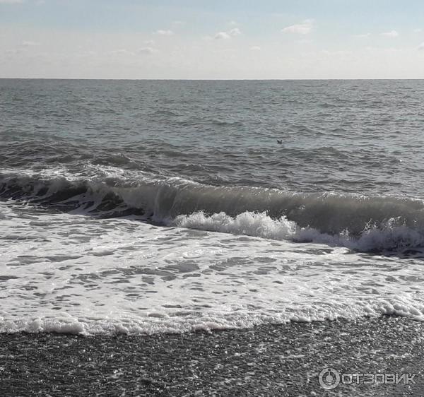 Гостиница Black Sea (Россия, Сочи) фото