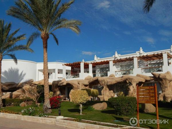 Отель Melia Sinai 5* (Египет, Шарм-эль-Шейх) фото