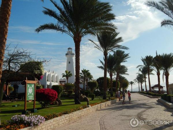 Отель Melia Sinai 5* (Египет, Шарм-эль-Шейх) фото