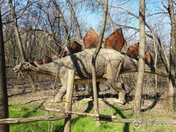 Сафари Парк Краснодар Цена