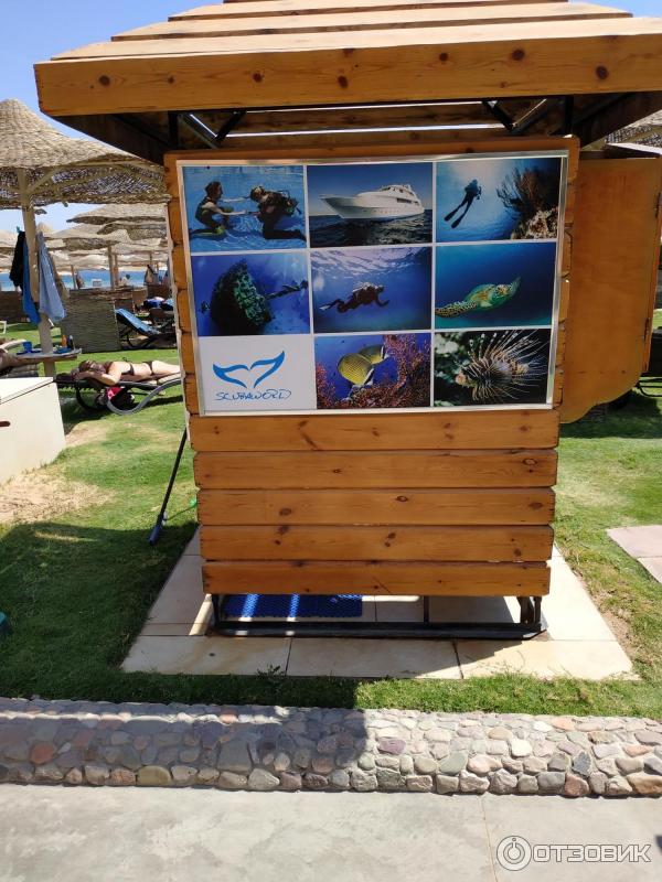 Курорт Макади Бей (Египет) фото