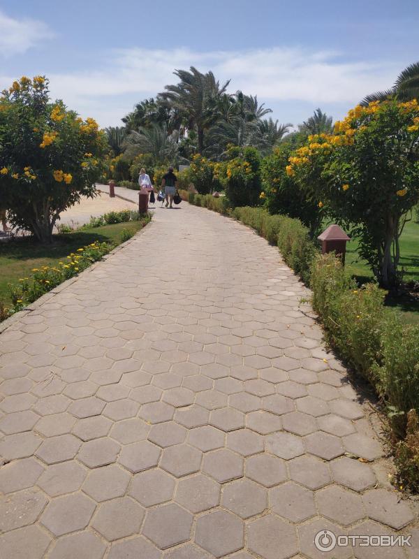 Курорт Макади Бей (Египет) фото