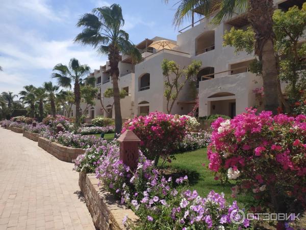 Курорт Макади Бей (Египет) фото