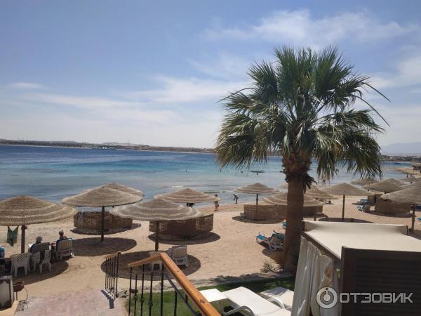 Курорт Макади Бей (Египет) фото
