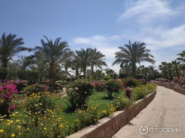 Курорт Макади Бей (Египет) фото