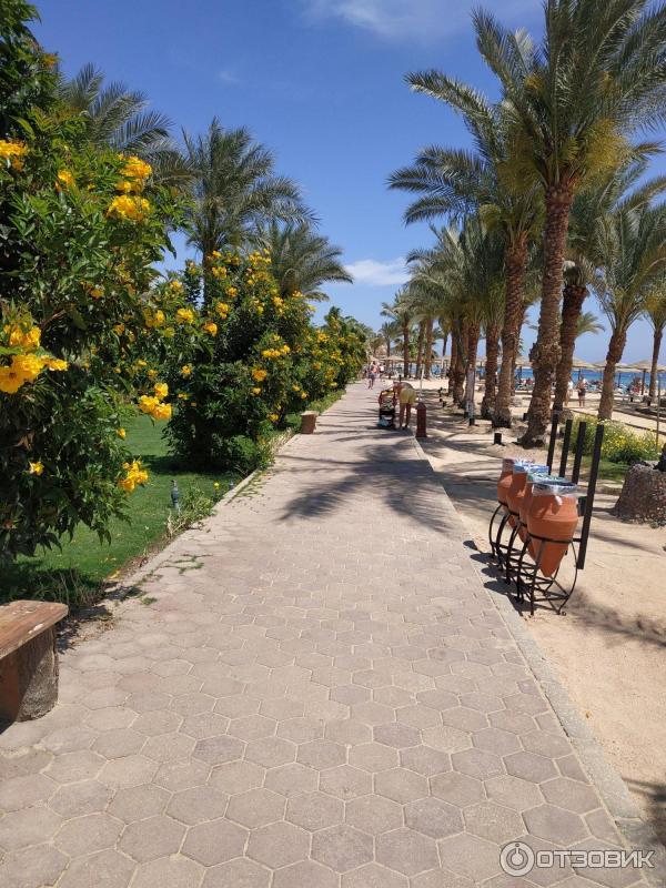 Курорт Макади Бей (Египет) фото
