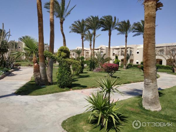 Курорт Макади Бей (Египет) фото