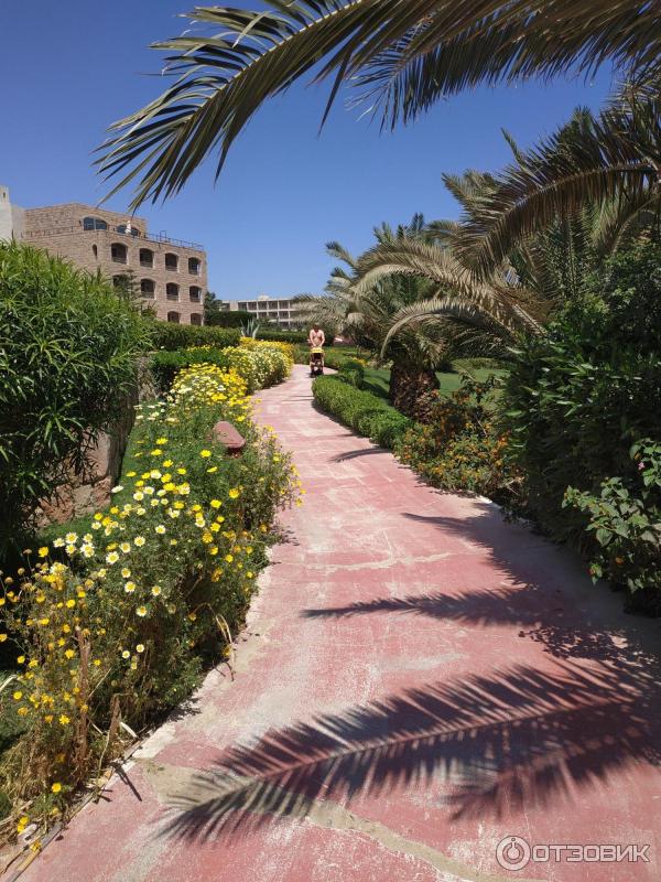 Курорт Макади Бей (Египет) фото