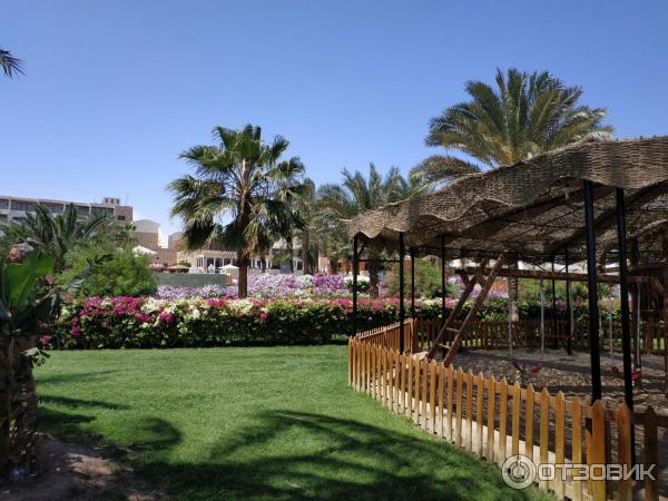 Курорт Макади Бей (Египет) фото