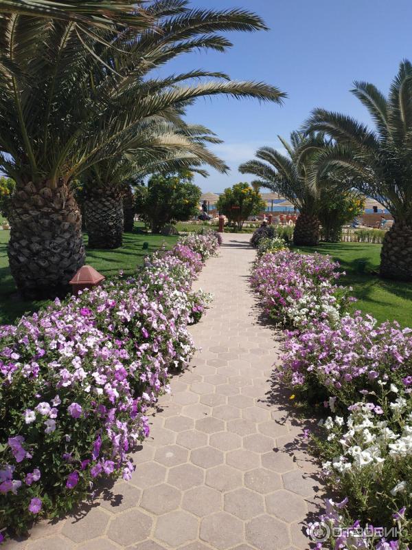 Курорт Макади Бей (Египет) фото