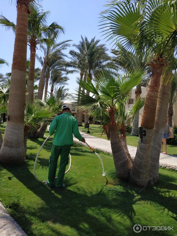 Курорт Макади Бей (Египет) фото