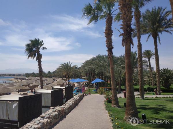 Курорт Макади Бей (Египет) фото