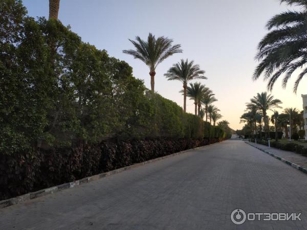 Курорт Макади Бей (Египет) фото