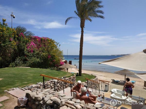 Курорт Макади Бей (Египет) фото