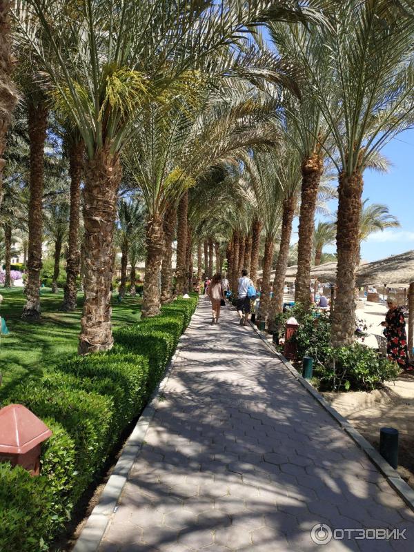 Курорт Макади Бей (Египет) фото