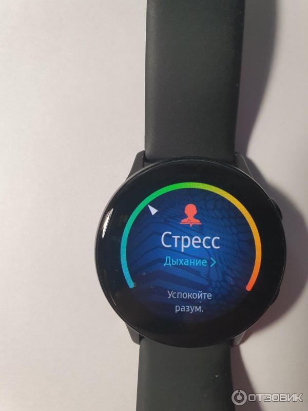 Часы Samsung Galaxy Watch Active фото