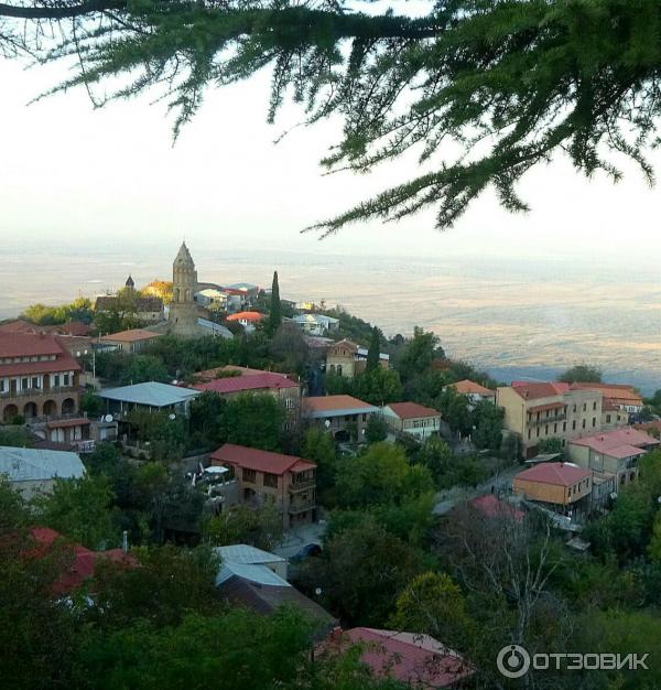 Экскурсия в город Сигнаги (Грузия, Кахетия) фото